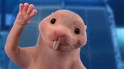 naked mole rat kim possible name|Rufus